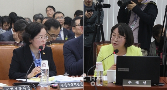 조성욱 공정거래위원장(왼쪽)과 추혜선 의원. /사진=임민희 기자