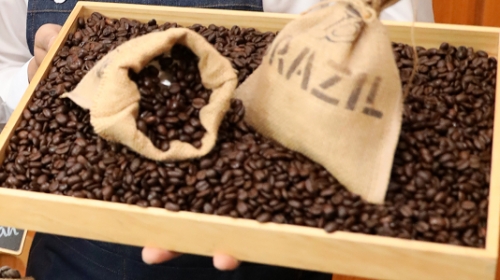 브라질 커피 원두. /사진=뉴시스