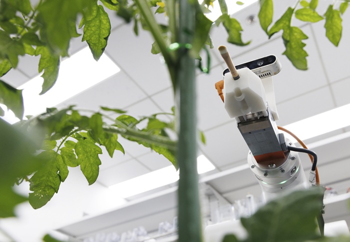 중국과학원 연구실의 로봇이 실험을 진행하는 모습. /사진=신화통신, 뉴시스