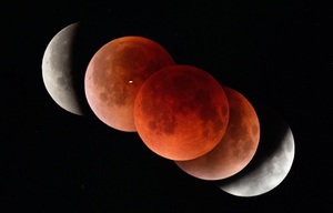 개기월식 관련 국내 보도 썸네일